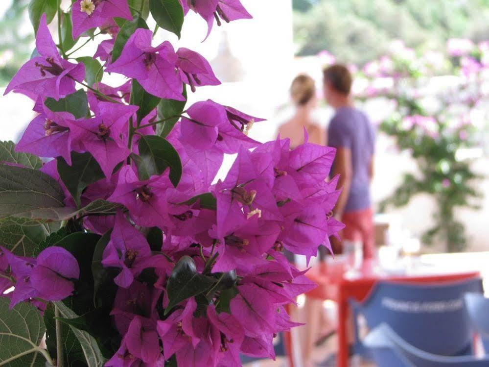 Cosmos Grand Hostal Sant Francesc de s'Estany Εξωτερικό φωτογραφία